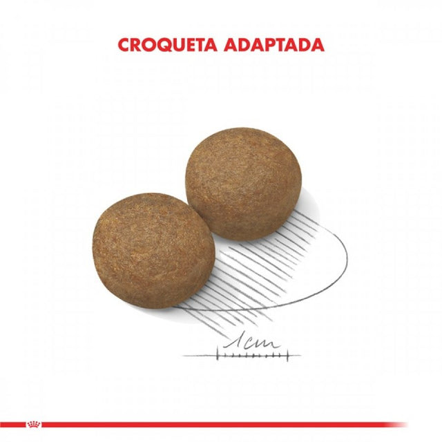 Royal Canin Maxi Adulto 12Kg
