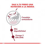 Royal Canin Medium Adulto 12Kg