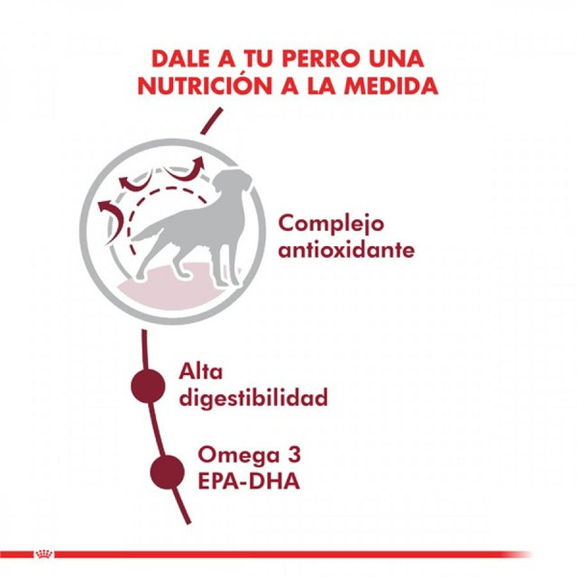 Royal Canin Medium Adulto 12Kg