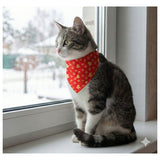  Bandanas Navideñas para Perros y Gatos