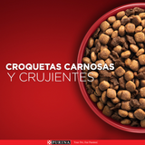 Alimento seco para perro PURINA® ONE® Adulto Mini y Pequeño Pollo y Carne 2kg