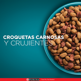 Alimento seco para gato PURINA® ONE® Esterilizado Pollo y Salmón 2kg