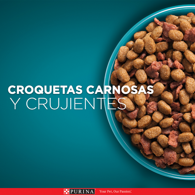 Alimento seco para gato PURINA® ONE® Esterilizado Pollo y Salmón 2kg