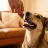  Snack Natural Hígado de Pollo WildBites Perro Adulto 60g - Limpieza Dental y Alta Palatabilidad