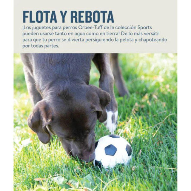  Planet Dog Orbee-Tuff Juguete Pelota para Perros