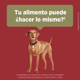  Purina® One® Adulto Mediano Y Grande Pollo Y Cordero 6Kg