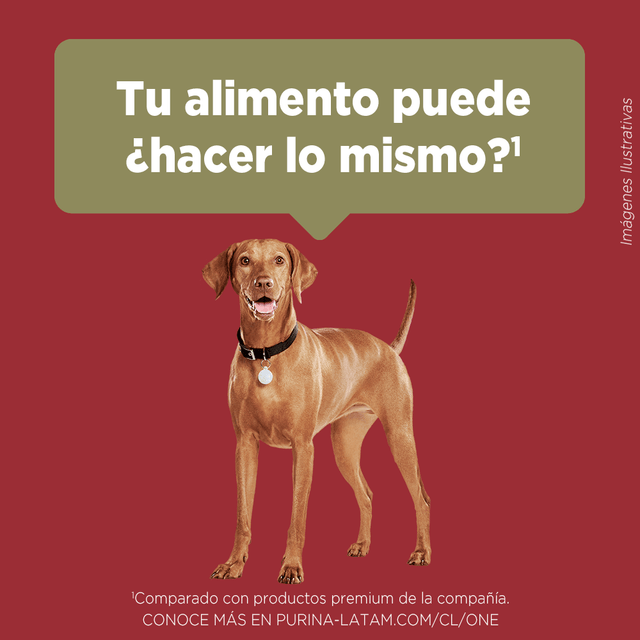  Purina® One® Adulto Mediano Y Grande Pollo Y Cordero 6Kg