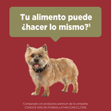  Purina® One® Adulto Mini Y Pequeno Pollo Y Cordero 6Kg