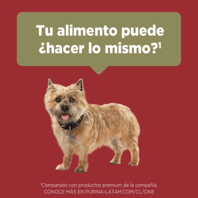  Purina® One® Adulto Mini Y Pequeno Pollo Y Cordero 6Kg