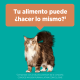 Purina® One® Adulto Pollo Y Salmon 6Kg