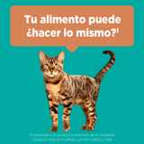  Purina® One® Esterilizado Pollo Y Salmon 6Kg