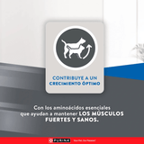 Excellent Cat Kitten 7 5 Kg