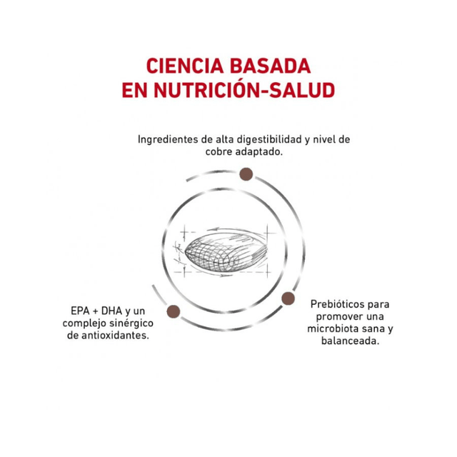  Royal Canin Vet Diet Dog Hepatic 10Kg