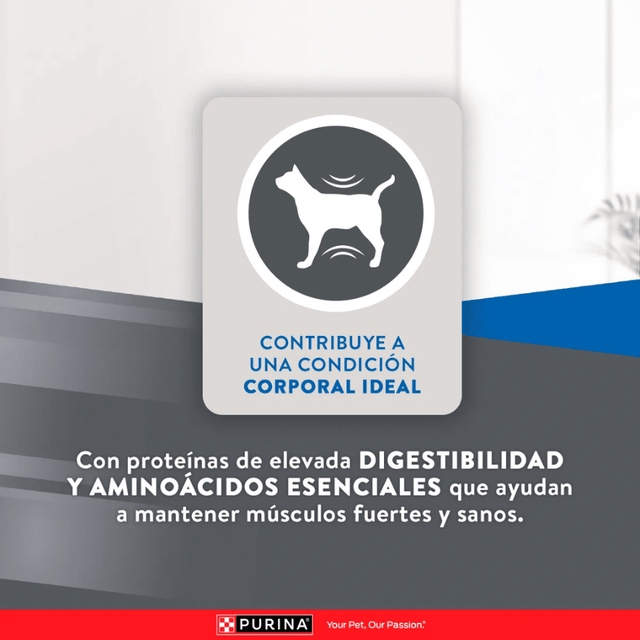 Excellent Cat Sterilized 1Kg