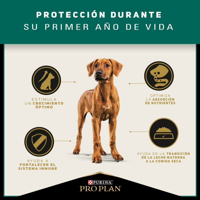 Purina Pro Plan Puppy Large con OptiStar 15kg