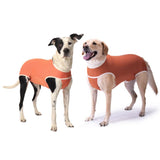  BodyCobre Castración Perros Machos