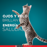 Alimento seco para gato PURINA® ONE® Esterilizado Pollo y Salmón 2kg