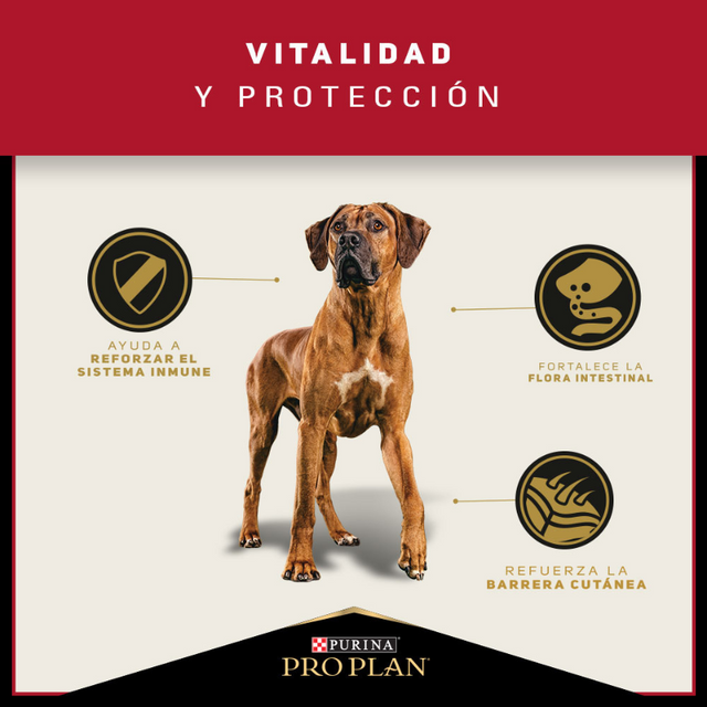  Purina Pro Plan Adult Large Con Optihealth 12kg