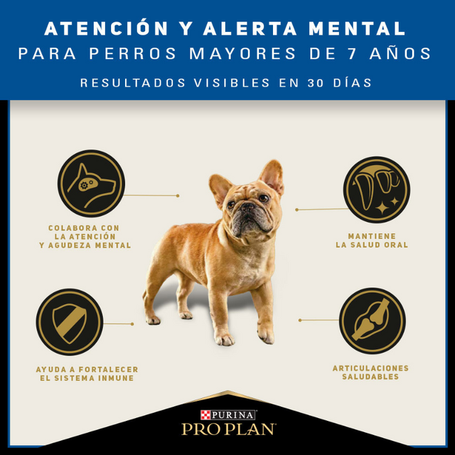 Purina Pro Plan Active Mind 7+ Small con OptiAge 3kg