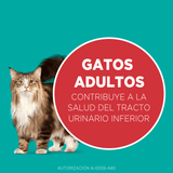 Purina® One® Adulto Pollo Y Salmon 6Kg