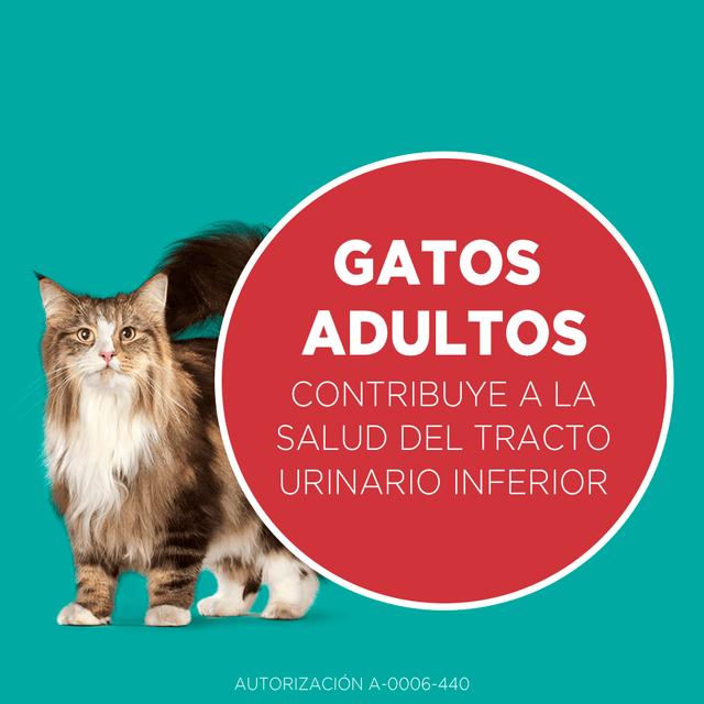 Purina® One® Adulto Pollo Y Salmon 6Kg