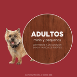  Purina® One® Adulto Mini Y Pequeno Pollo Y Cordero 6Kg