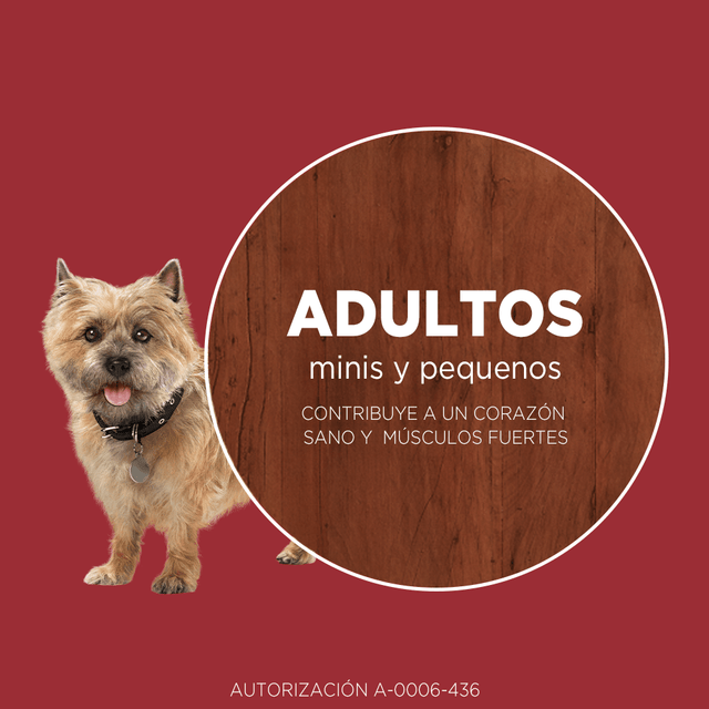  Purina® One® Adulto Mini Y Pequeno Pollo Y Cordero 6Kg