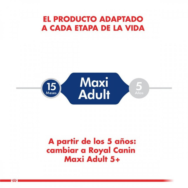 Royal Canin Maxi Adulto 12Kg