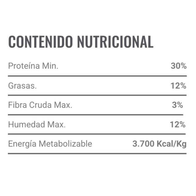  Nómade Gato Adulto