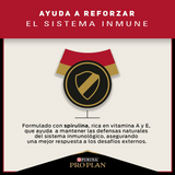  Purina Pro Plan Adult Large Con Optihealth 12kg