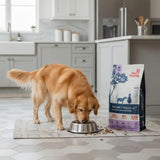  PetFamily Foods Adulto Vacuno y Pollo 15kg