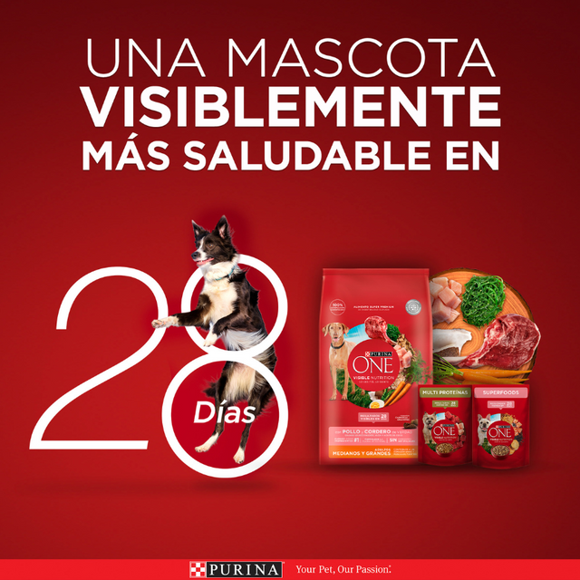 Alimento seco para perro PURINA® ONE® Adulto Mediano y Grande Pollo y Carne 6kg