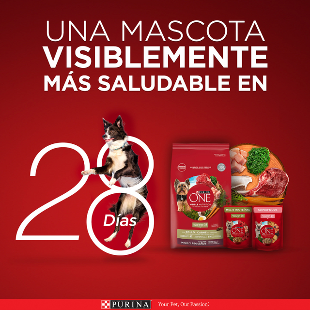 Alimento seco para perro PURINA® ONE® Adulto Mini y Pequeño Pollo y Carne 2kg