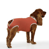  BodyCobre Castración Perros Machos