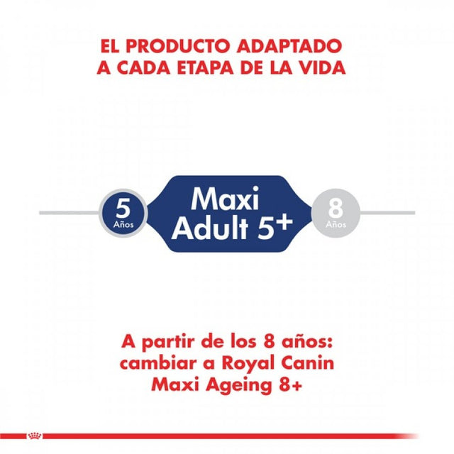 Royal Canin Maxi adulto 5+ 12Kg