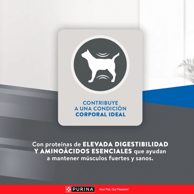 Excellent Cat Adult 3 Kg