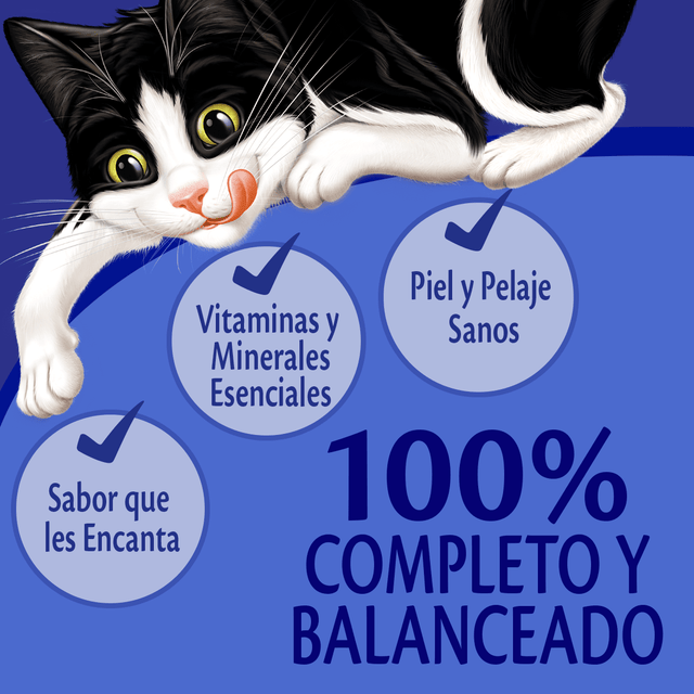 Felix Adultos Carne En Salsa 85Gr Pack 15 Unidades