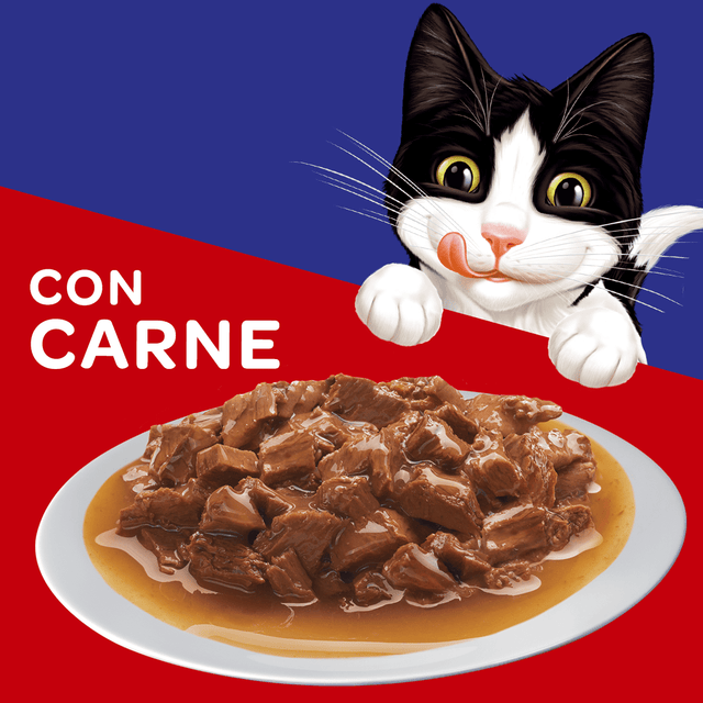 Felix Adultos Carne En Salsa 85Gr Pack 15 Unidades