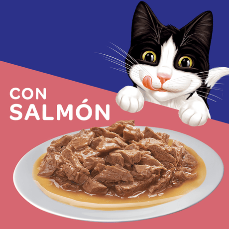 Felix Adultos Salmon En Salsa 85Gr Pack 15 Unidades