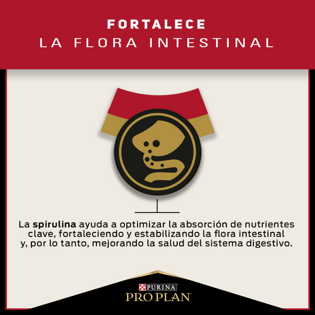  Purina Pro Plan Adult Large Con Optihealth 12kg