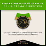 Pro Plan Para Perros Sensitive Skin and Stomach Pavo Razas Medianas y Grandes 12 kg + 3 kg