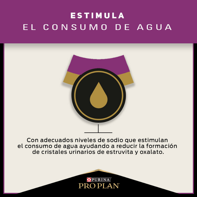  Alimento seco para gato PRO PLAN® Adulto Urinary