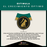 Purina PRO PLAN Cachorro Raza Mediana 1kg