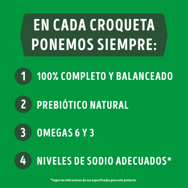  Purina Dog Chow Adultos 7+ Longevidad 8kg