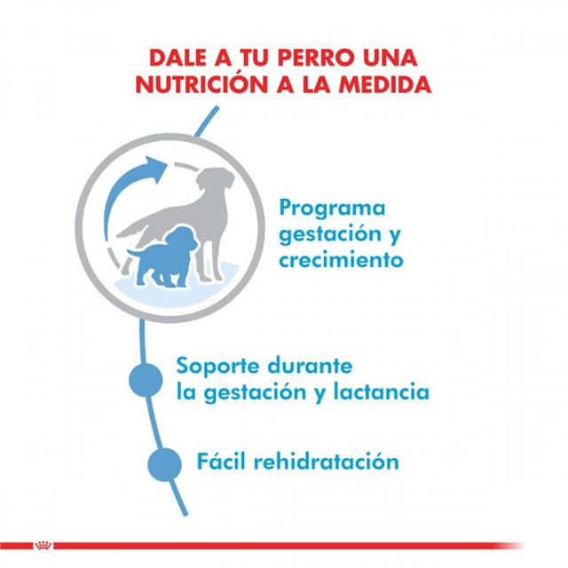 Royal Canin Medium Starter 3kg