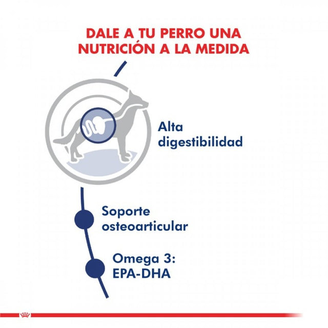 Royal Canin Maxi Adulto 12Kg