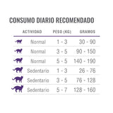  Nómade Gato Adulto