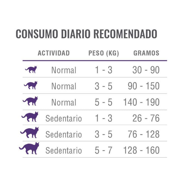  Nómade Gato Adulto
