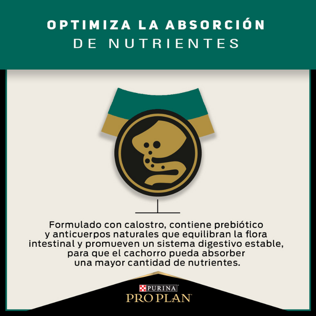 Purina PRO PLAN Cachorro Raza Mediana 1kg