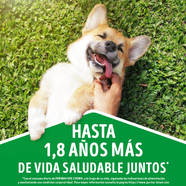 Purina Dog Chow Adultos Razas Pequeñas Carne y Pollo 18kg